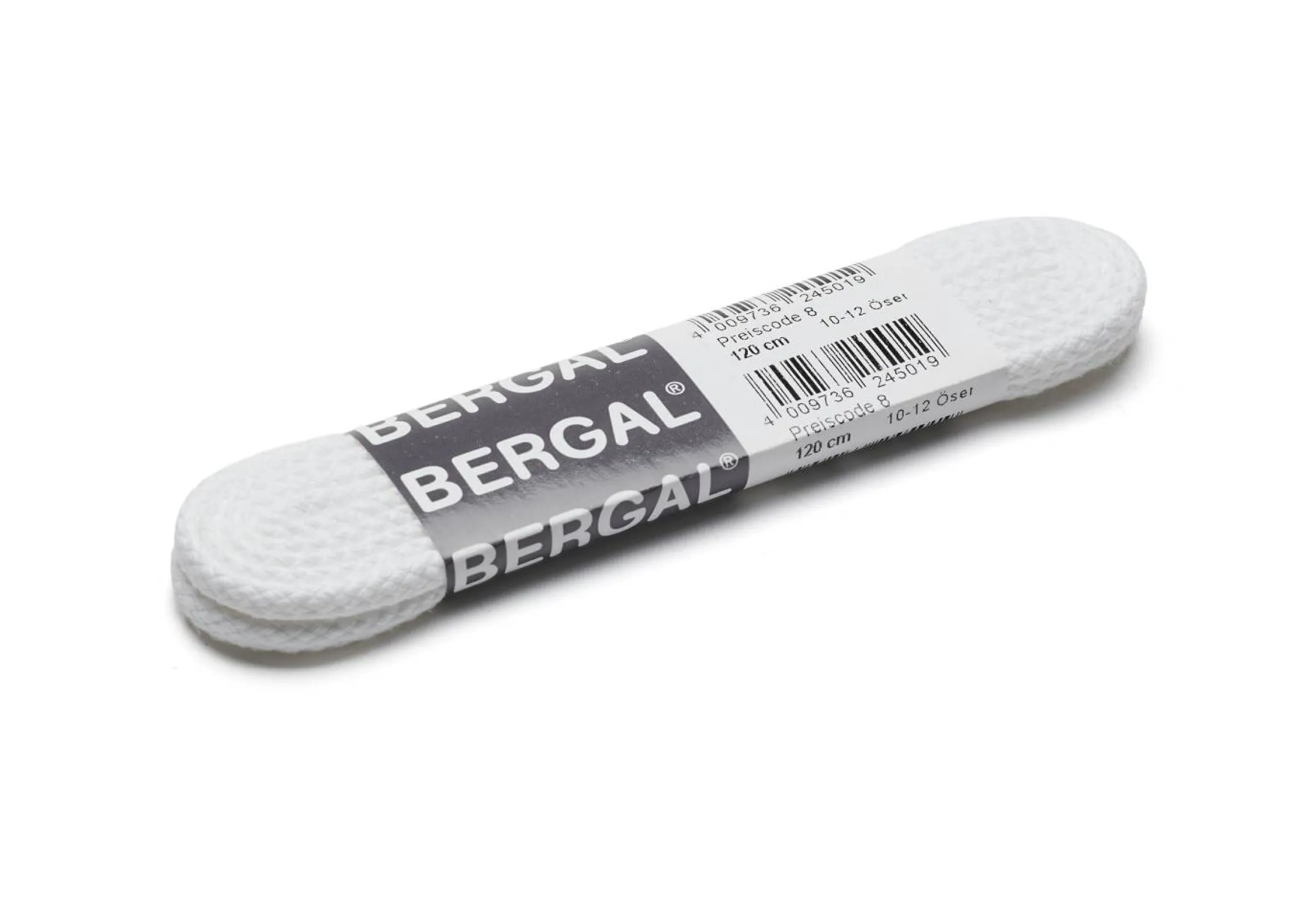 Bergal skolisser