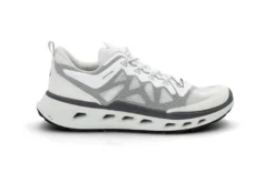 Biom 720