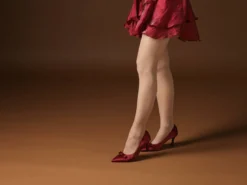 Elegant pumps